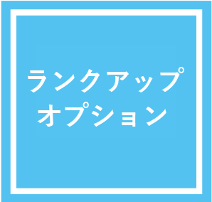 ランクアップオプション